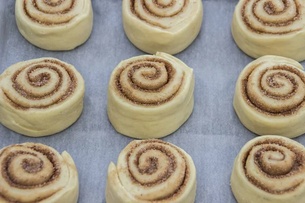 Beautiful and uncooked cinnamon buns with cinnamon