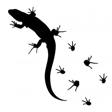 lizard and footprints silhouette vector clipart
