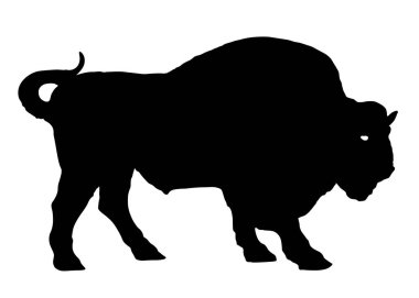 Buffalo, Bizon, boğa, siluet