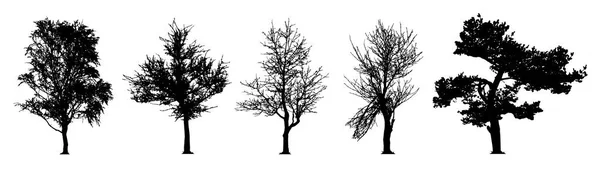 Árvore conjunto vetor silhueta — Vetor de Stock