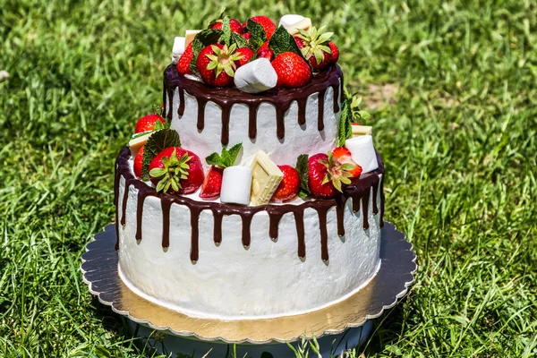 Два уровня торт со свежей клубникой — стоковое фото