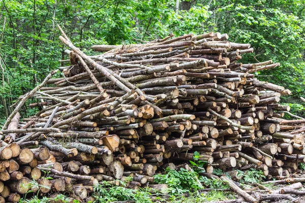 Montón de troncos de árbol. La tala de árboles en el bosque —  Fotos de Stock