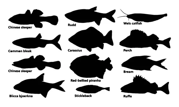 Silhouette Fisch Set, Vektor — Stockvektor