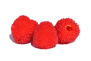 Beyaz arka plan üzerinde izole Rubus rosifolius, ahududu ve çilek melez