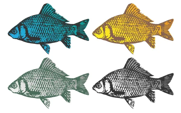 Вектор риби в різних кольорах — стоковий вектор