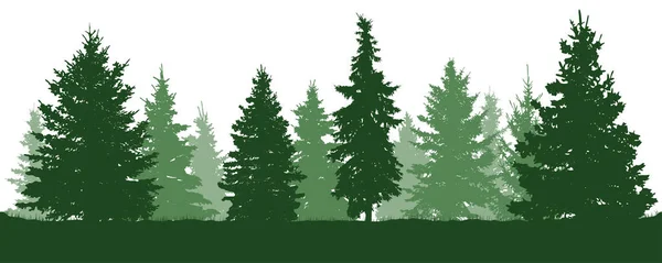 Hutan cemara pohon siluet. cemara hijau konifer. Vektor pada latar belakang putih - Stok Vektor