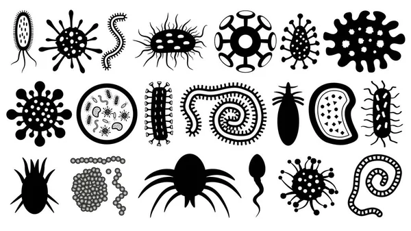 Microbe, parasite, bactérie, ver, virus, sperme, ensemble de silhouette vectorielle. Les micro-organismes au microscope . — Image vectorielle