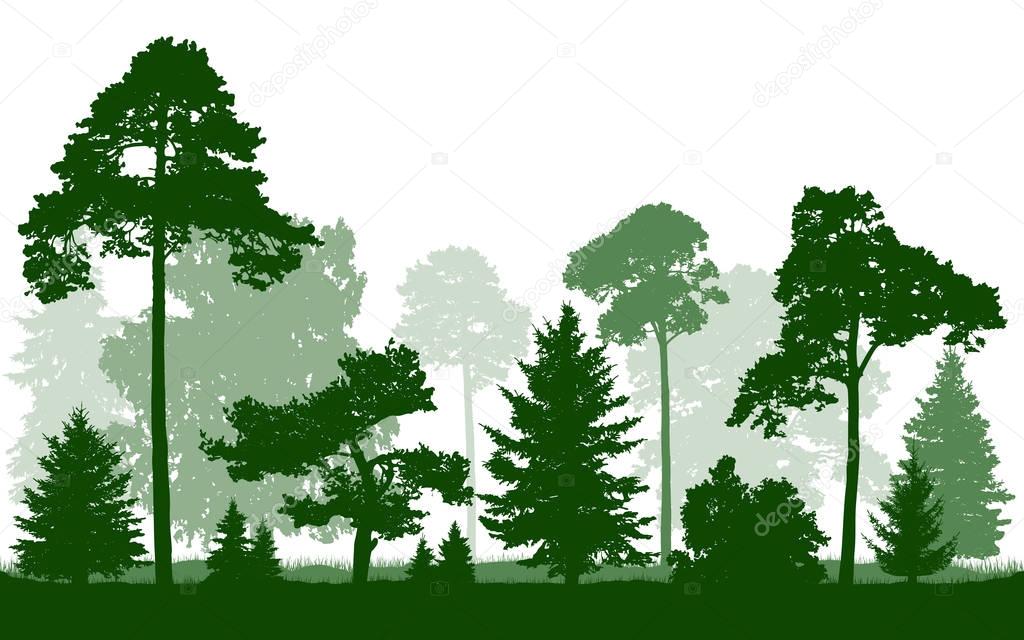 Forest green silhouette vector, isolated on white background. Trees, firs, christmas tree, spruce, pine, birch, oak, bushes.