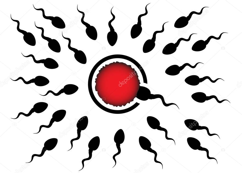 Sperm and egg cell. Spermatozoid reaches the target. Fertilization concept. Silhouette vector