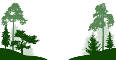  Orman ağaçları vektör siluet ayarlayın. Ahşap beyaz arka plan üzerinde izole. Parkta ağaçların yol veya nehir geçecek