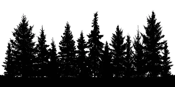 Wald von Tannenbäumen Silhouette. Nadelhölzer. Vektor auf weißem Hintergrund — Stockvektor