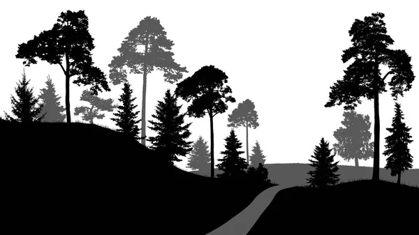 Leśną ścieżką, wyjście z lasu. Drzewa sylwetka wektor, na białym tle. Drewno na białym tle — Wektor stockowy