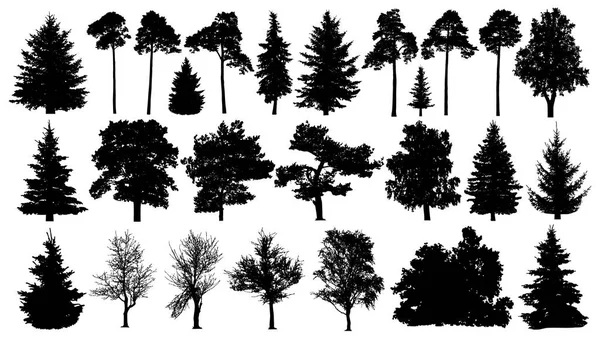 Árvores definem silhueta. Floresta de coníferas. Árvore isolada sobre fundo branco . — Vetor de Stock