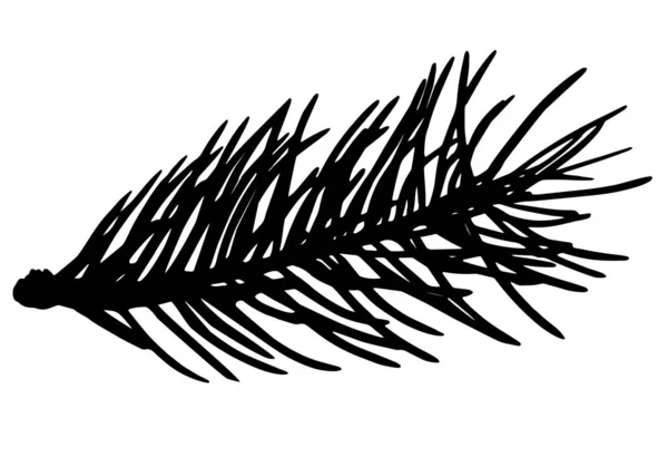 Silueta de rama de abeto, ilustración vectorial . — Vector de stock