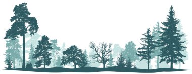 Orman parkı ağacı geçmişi. Doğa manzarası. 