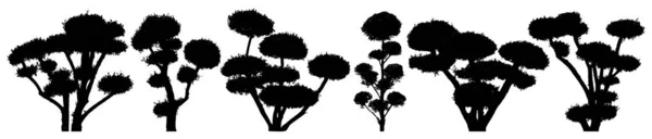 Trädgårdsbonsai niwaki. Dekorativa träd. Buske vektor silhuett set — Stock vektor