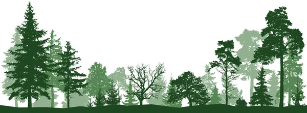 Silhouette vectorielle de forêt d'arbres. Ensemble isolé — Image vectorielle