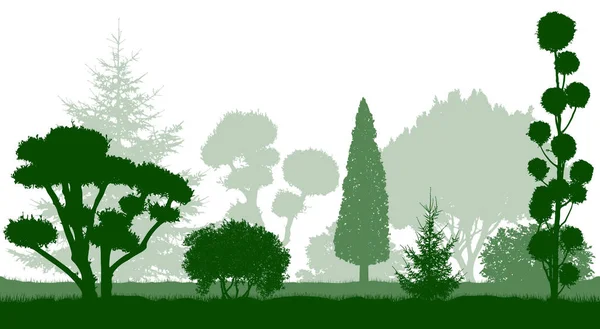 Arbres nains décoratifs, conifères de jardin. Des silhouettes. Vecteur — Image vectorielle