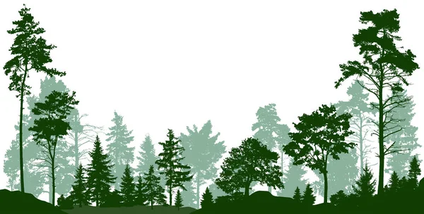 Bosque, parque, callejón. Paisaje de árboles aislados. Ilustración vectorial — Archivo Imágenes Vectoriales