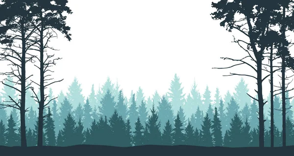 Fond forestier, paysage, nature. Pin, sapin de Noël, épicéa . — Image vectorielle
