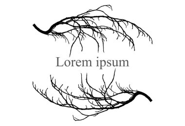 Ağaç silueti, metin için çerçeve, lorem ipsum. Vektör