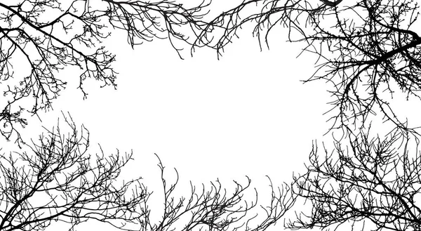 Frame from branches tree, silhouette of branches different trees — 스톡 벡터