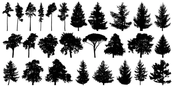 Trees set isolated on white background. — Stock Vector