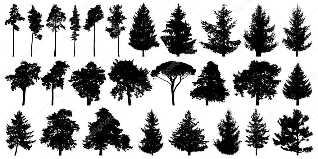 Trees set isolated on white background.