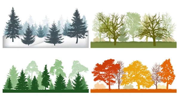 Wald im Winter, Frühling, Sommer und Herbst. Silhouetten — Stockvektor