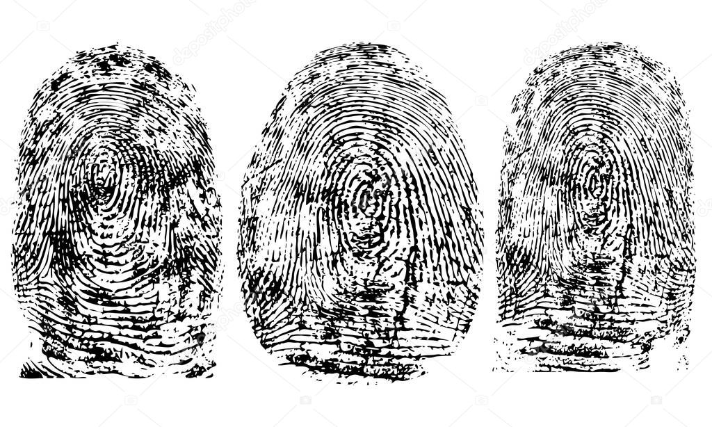 Fingerprints, biometric data. Set. Vector illustration