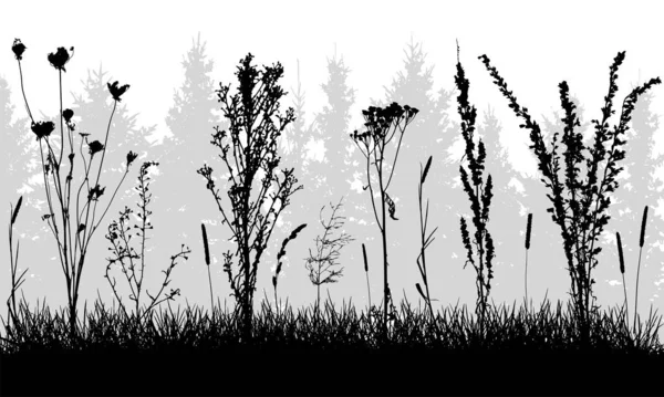 Herbe avec des mauvaises herbes sur fond de forêt, silhouettes. Vecteur — Image vectorielle