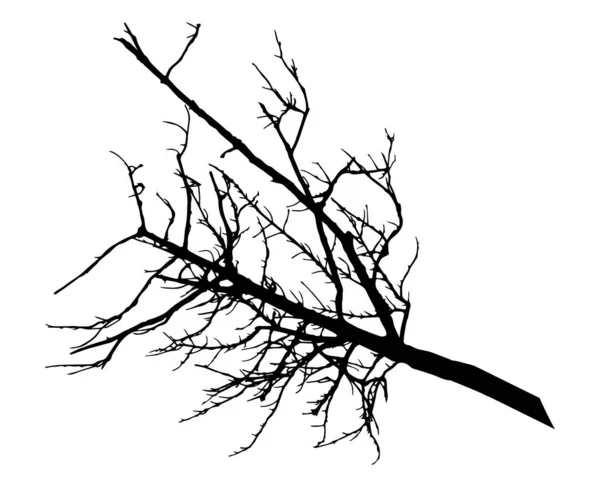 Silhouette de branche sans feuilles, isolée — Image vectorielle