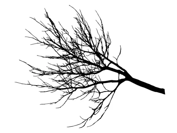 Árbol de rama de otoño sin hojas, silueta. Vector — Vector de stock