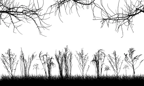 Plantes Sauvages Dans Les Champs Silhouette Prairie Branches Nues Arbres — Image vectorielle