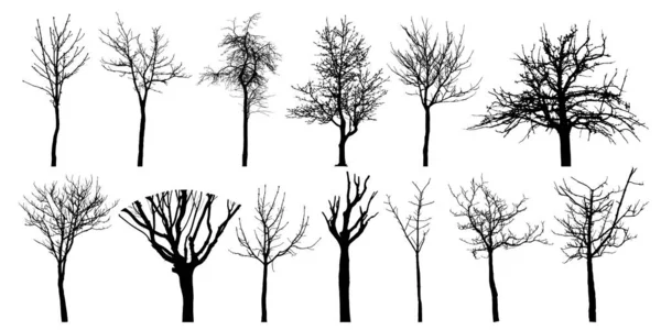 Árboles Desnudos Diferentes Conjunto Siluetas Ilustración Vectorial — Vector de stock
