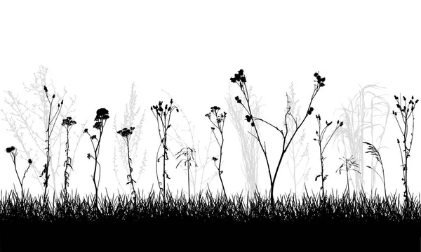 Silhouette Wildpflanzen Und Unkraut Wiese Vektorillustration — Stockvektor