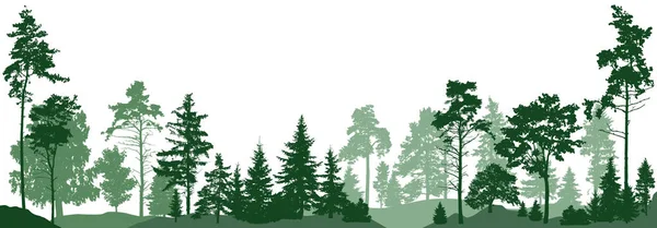 Leśne Drzewa Odizolowany Białym Tle Ilustracja Wektora — Wektor stockowy