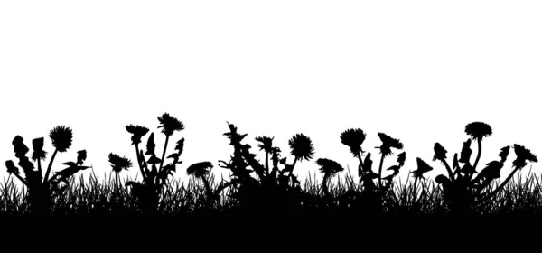 Maskros Blommor Gräs Siluett Fält Äng Vektorillustration — Stock vektor