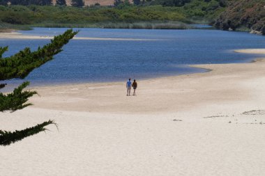 Carmel Beach California, Amerika Birleşik Devletleri