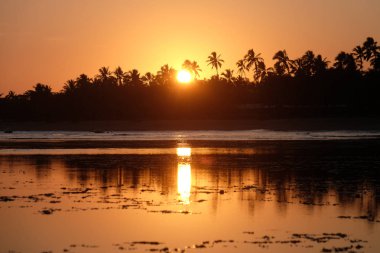 Praia do Forte - Bahia, Brazil
