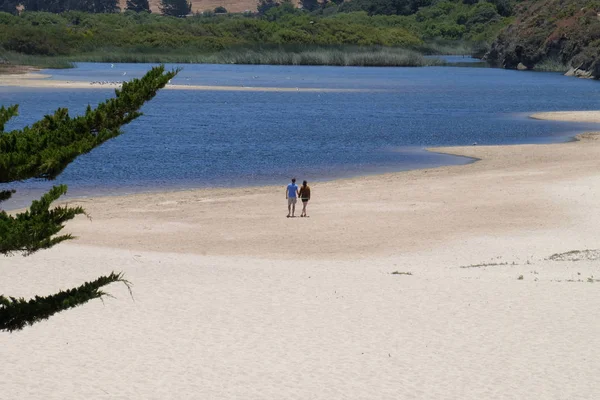 Carmel Beach California, Amerika Birleşik Devletleri
