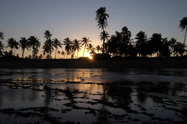 Praia do Forte - Bahia, Brazil — Stock Photo, Image