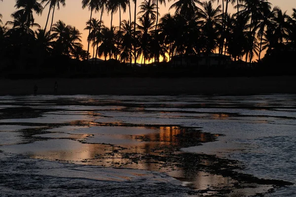 Praia do Forte - Bahia, Brazil — Stock Photo, Image