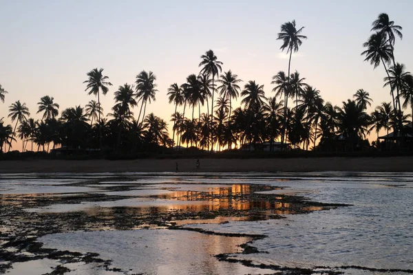 Praia do Forte - Bahia, Brazil — Stock Photo, Image