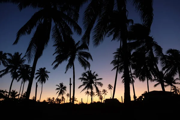 Praia do Forte - Bahia, Brazil — Stock Photo, Image