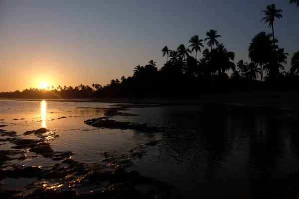 Praia do Forte - Bahia, Brazil — Stock Photo, Image