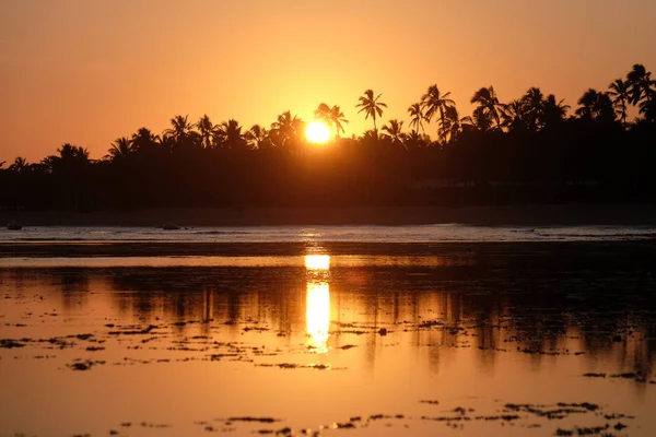 Praia do Forte - Bahia, Brazil