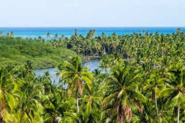 Sao Miguel dos Milagres - Alagoas, Brazil