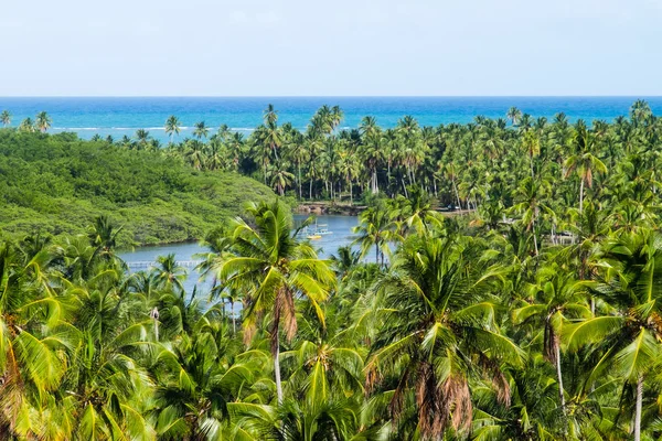 Sao Miguel dos Milagres - Alagoas, Brazil — Stock Photo, Image