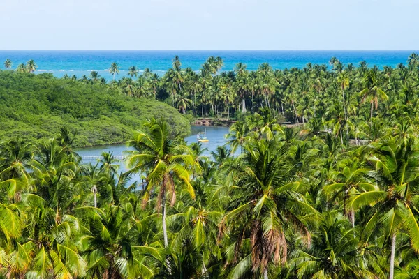 Sao Miguel dos Milagres - Alagoas, Brazil — Stock Photo, Image